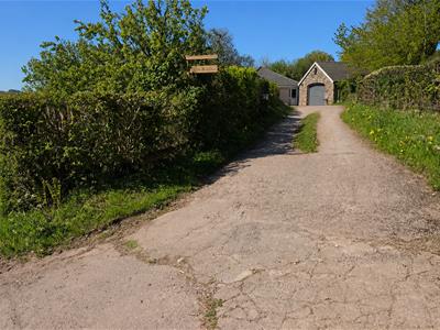 Picture 21